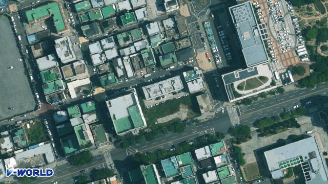 동화