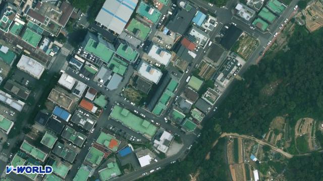 힐그린스위트