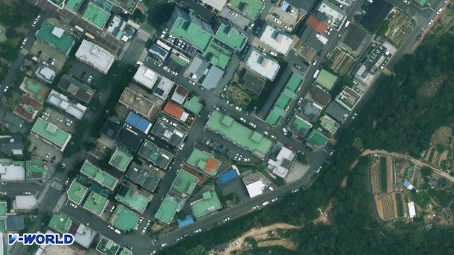 대신파래스