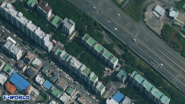 신세대1